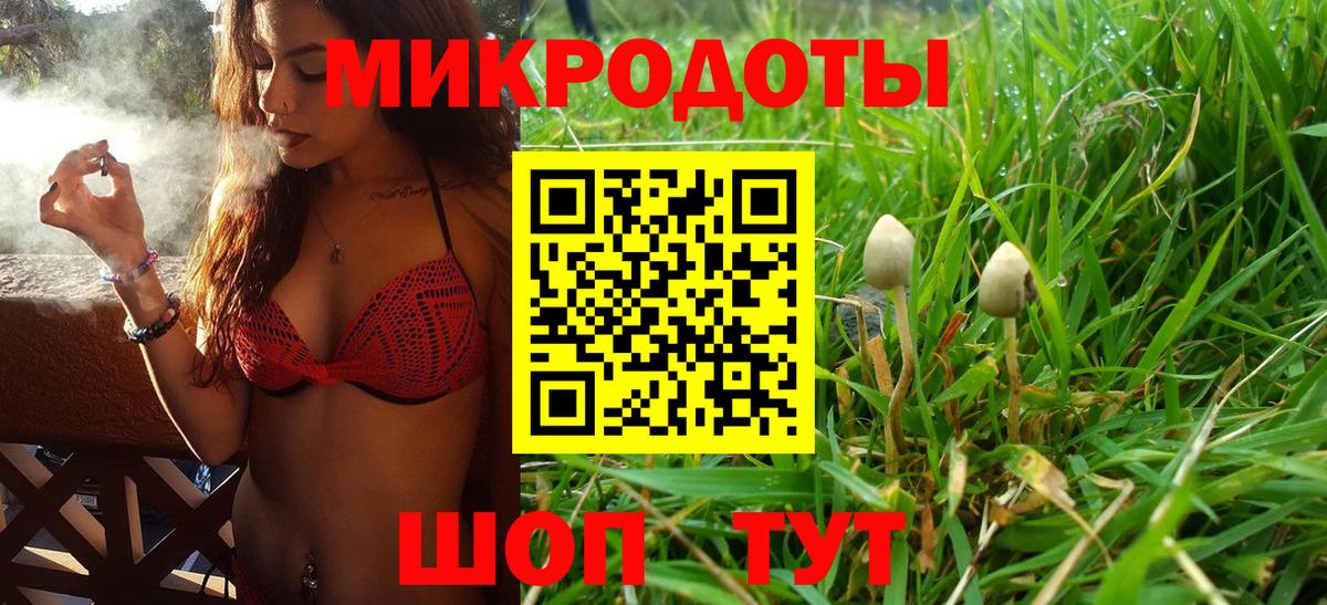 Елабуга  Галлюциногенные грибы Magic Shrooms  закладки  Галлюциногенные грибы Psilocybine cubensis  Вход с VPN 